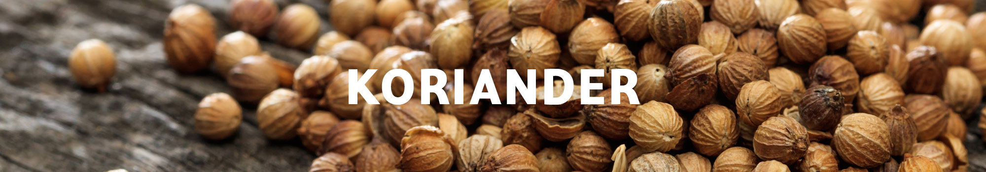 Koriander
