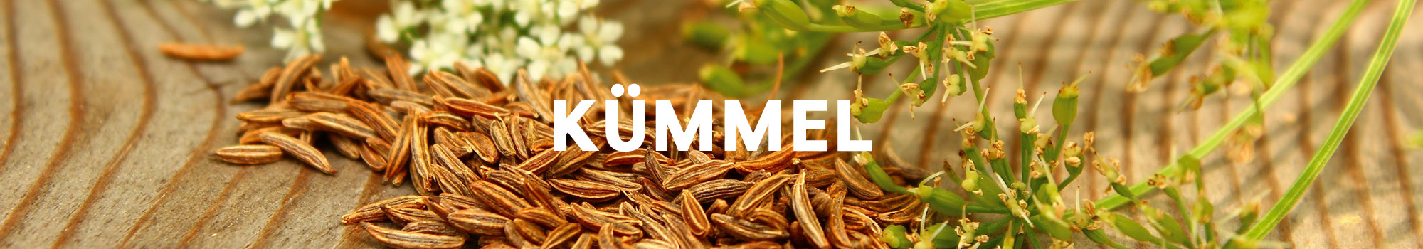 Kümmel