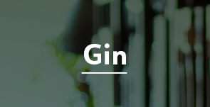 Gin